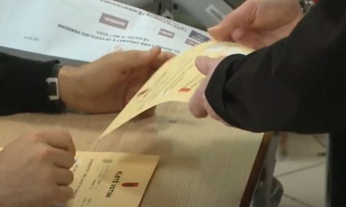 Fletët e votimit që “rrëmbyen” vëmendje/ Luizi kryetar në Shkodër, në Tiranë “mami”, Vlora “këshillon” Berishën