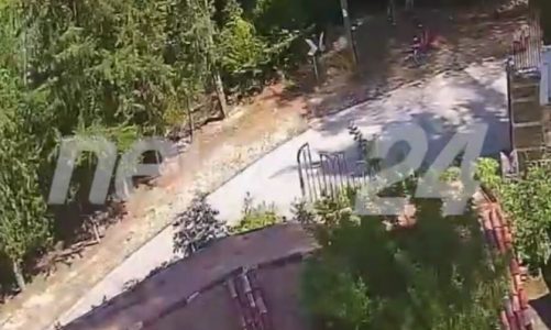 Del video/ Zjarri në malin Partizan në Berat, ja momenti kur dy persona i vënë flakët pyllit me pisha