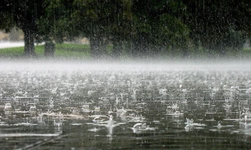 Priten reshje të dendura në ditët në vijim, bashkia e Lezhës thirrje qytetarëve: Parashikohet të ketë furtunë dhe përmbytje