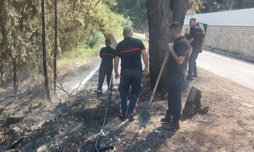 Zjarri në malin Partizan në Berat, digjet një sipërfaqe me shkurre dhe pisha, zjarrfikësit neutralizojnë flakët