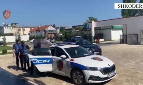 Sekuestrohet kanabis dhe doza kokaine, arrestohen babë e bir në Shkodër