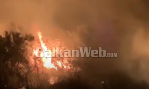 video vatra zjarri ne fshatrat e vlores flaket e favorizuara nga era rrezikojne disa banesa