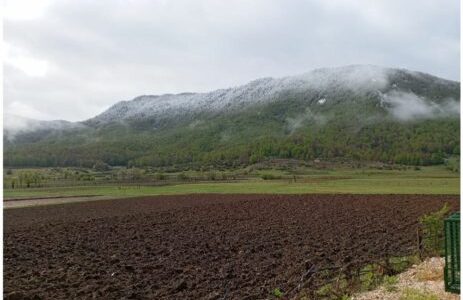 FOTO/ Bie borë në fshatrat e Elbasanit, Librazhdit, Gramshit dhe Prrenjasit