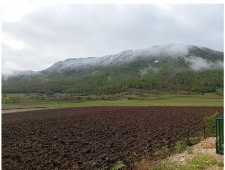 foto bie bore ne fshatrat e elbasanit librazhdit gramshit dhe prrenjasit