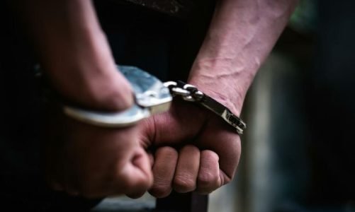 Kultivim i lëndëve narkotike, arrestohet kryeplaku i një fshati në Lezhë, në pranga edhe një tjetër