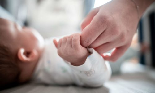 projektligji kushtet e reja per abortin dhe lindjet invitro cfare parashikohet per shtatzenite me surrogato